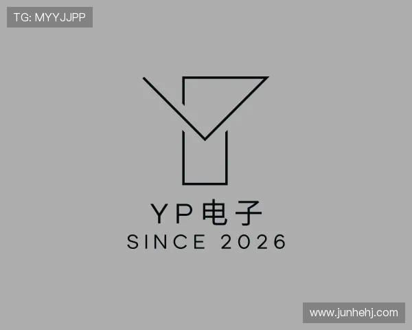 认识YP电子
