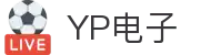 YP电子集团股份有限公司